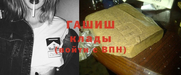 стаф Богданович