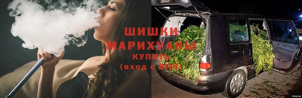 стаф Богданович