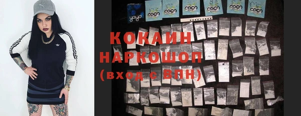 стаф Богданович
