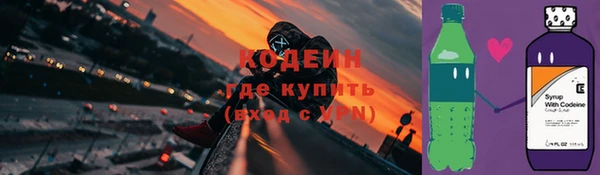 стаф Богородск