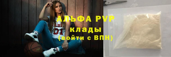 стаф Богородск