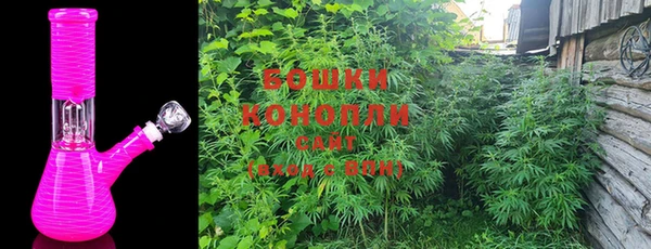 стаф Богородск