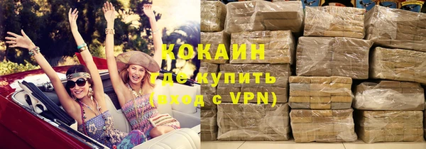 стаф Богданович