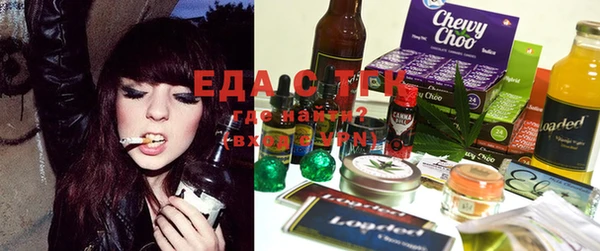 стаф Богданович