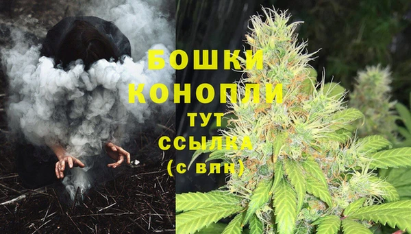 стаф Богородск
