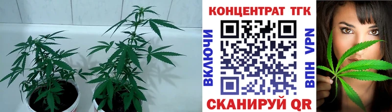 ТГК Wax  закладка  Кубинка 