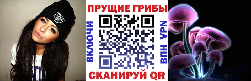 где можно купить наркотик  Кубинка  Галлюциногенные грибы прущие грибы 